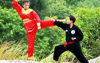 Võ cổ truyền Việt Nam vươn tầm thế giới
