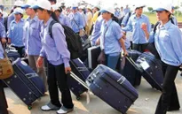 Đài Loan (Trung Quốc) tiếp nhận lại lao động Việt Nam