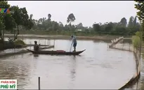 Nhiều hộ dân chưa tiếp cận được gói tín dụng vay vốn