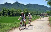 Việt Nam đón gần 8 triệu lượt khách quốc tế năm 2015