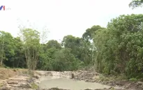 Thủ đoạn chia lô, bán đất rừng phòng hộ Phú Quốc trái phép ngày càng tinh vi