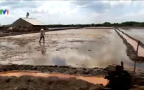 Bà Rịa - Vũng Tàu: Hàng trăm ha đất bị nhiễm mặn