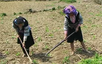 Đăk Lăk: 5 tỷ đồng hỗ trợ cho hộ nghèo