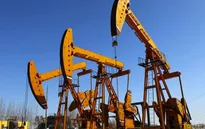 Giá dầu thế giới đi lên sau báo cáo của Bộ Năng lượng Mỹ