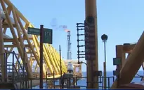 Giá dầu giảm tạo động lực phát triển cho Việt Nam