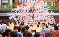 Hôm nay (11/4), khai mạc lễ hội hoa anh đào Nhật Bản 2015