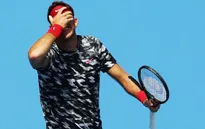 Sydney International: Del Potro thắng trận mở màn 2015