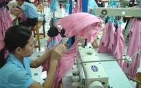 Nền kinh tế Việt Nam có nhiều tín hiệu tích cực