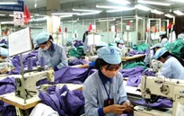 Doanh nghiệp vừa và nhỏ trước thách thức từ TPP