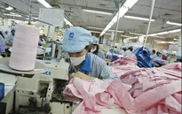 Năm 2015: Gần 95.000 doanh nghiệp thành lập mới