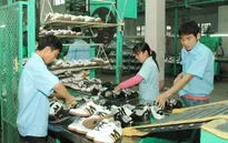 Doanh nghiệp da giày ngoại đổ bộ vào Việt Nam nhờ TPP