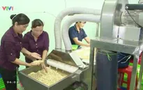 Phá giá đồng nhân dân tệ: DN Việt Nam không thể chủ quan