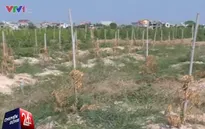 Hải Dương: Cố tình khoan giếng đòi tiền đền bù dự án