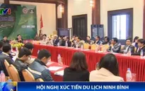 Ninh Bình xúc tiến phát triển du lịch