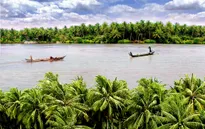 THTT: Khai mạc Lễ hội Dừa Bến Tre lần thứ IV-2015 (20h10, VTV1)