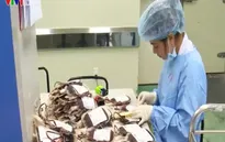 Đủ lượng máu dự trữ cung ứng cho các bệnh viện dịp Tết