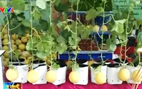 Nông nghiệp thích ứng biến đổi khí hậu - Xu hướng tương lai ở Việt Nam