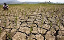 Peru ban bố tình trạng khẩn cấp về hiện tượng El Nino