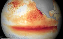 Hiện tượng El Nino 2016 có thể mạnh như năm 1998