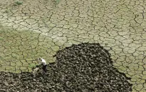 Hiện tượng El Nino đang mạnh lên sau 1 thập kỷ
