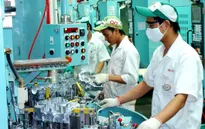 Đồng Nai: Thu hút vốn FDI đã vượt kế hoạch cả năm
