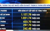 Top 5 "thỏi nam châm" hút vốn FDI nhiều nhất Việt Nam