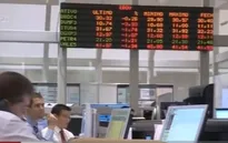 Cảnh báo tác động tiêu cực khi FED tăng lãi suất