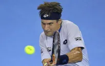 Ferrer rộng cửa dự ATP World Tour Finals 2015