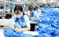 Nhà đầu tư săn cổ phiếu ảnh hưởng từ FTA