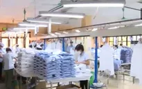 FTA Việt Nam - Liên minh kinh tế Á - Âu: Cơ hội mới cho Việt Nam