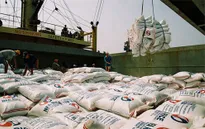 Giá xuất khẩu gạo Việt Nam xuống thấp nhất trong hơn 4 năm