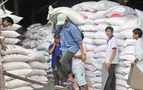 Kiến nghị dừng thí điểm xuất khẩu gạo qua Bảo Thắng, Lào Cai
