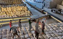 Việt Nam bất ngờ giảm mạnh xuất khẩu gạo