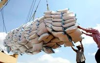 Xuất khẩu gạo sang châu Phi, Tây Á tăng mạnh