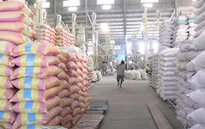 Xuất khẩu gạo quý I ở mức thấp nhất từ năm 2009