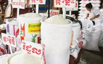 Kinh nghiệm xây dựng thương hiệu gạo của Campuchia
