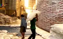 Gỡ khó tạm thời cho gạo Việt Nam