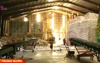 Giá gạo Việt Nam đang rẻ nhất thế giới