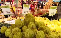 Thực phẩm chưa giảm giá dù xăng, dầu liên tục giảm