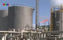 OPEC dự báo giá dầu duy trì ở mức thấp