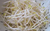 Chọn giá đỗ đúng cách để tốt cho sức khỏe