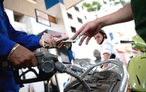 Cổ phiếu dầu khí tăng giá