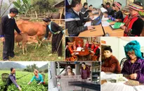 Từ 5/9, hộ mới thoát nghèo được vay đến 50 triệu đồng