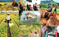 Nghị quyết giảm nghèo bền vững: Kết quả sau 6 năm