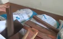 Đồng Tháp: Bắt giữ đối tượng vận chuyển gỗ trái phép