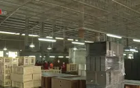 Nhiều rào cản xuất khẩu gỗ vào thị trường Nga