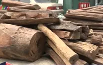 Hà Nội: Bắt quả tang vụ vận chuyển hơn 2 tấn gỗ lậu