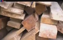 TT-Huế: "Nóng" vấn đề vận chuyển lâm sản trái phép bằng xe máy tự chế