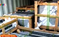 TP.HCM phát hiện lô hàng gian lận trốn thuế
