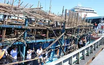 Khánh Hòa: Cứu thành công thuyền viên trên tàu Quảng Ngãi bị nạn ở Trường Sa